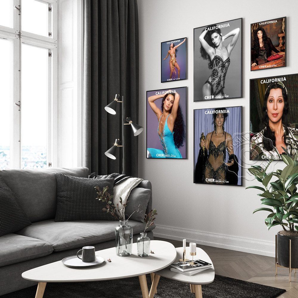 Cher Sexy Music Star Art Print - Vintage Collectible Magazines 评论和价格