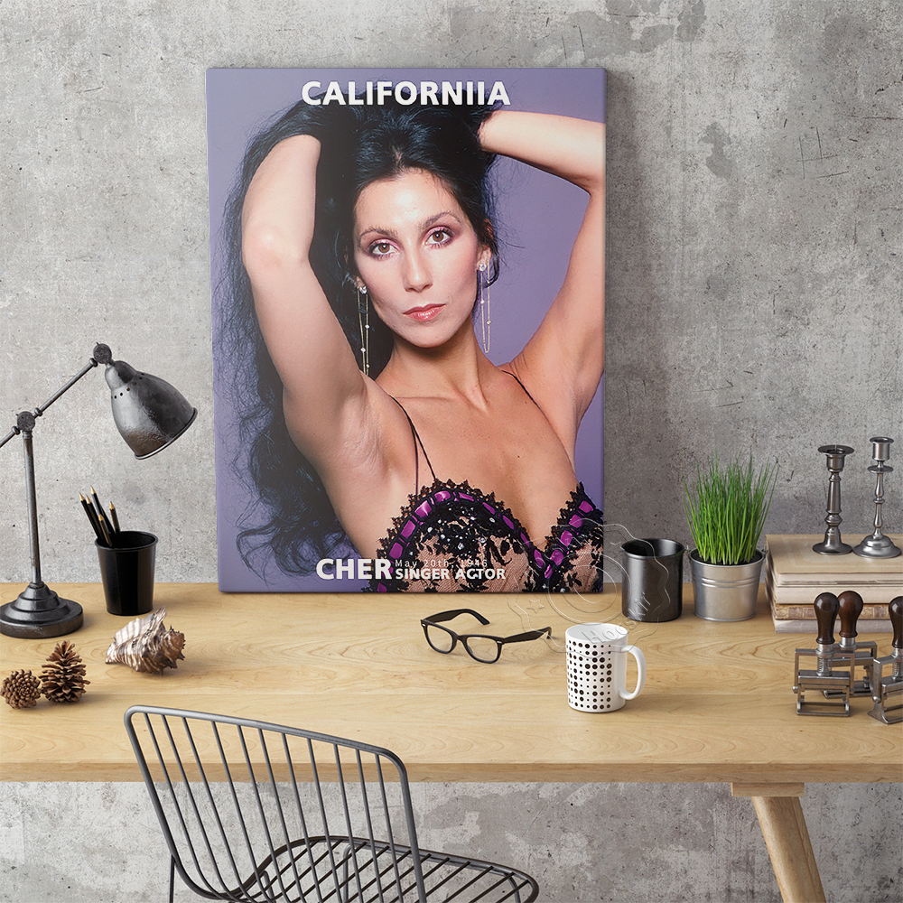 Cher Sexy Music Star Art Print - Vintage Collectible Magazines 评论和价格